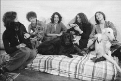 Cathouse_for_Dogs_group.jpg