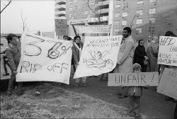 IPN_Rent_Strike.jpg