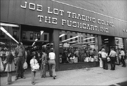 Job Lot.jpg