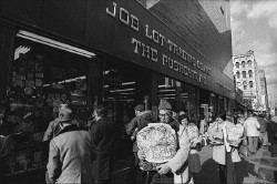 joblotcrowd.jpg