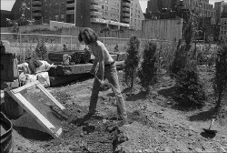 Wash_Mkt_Park_Garden_17.jpg
